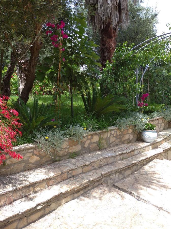 Mila La Villa Kastron  ภายนอก รูปภาพ